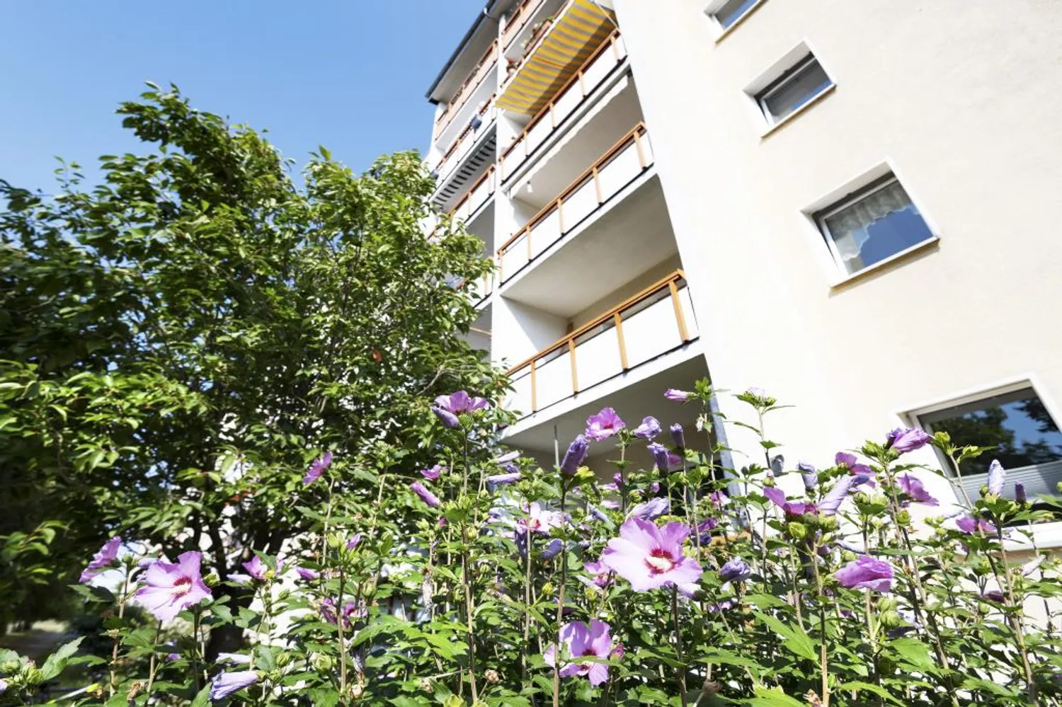 2 Zimmer Wohnung mit 56 m² in Leipzig – Bild 1