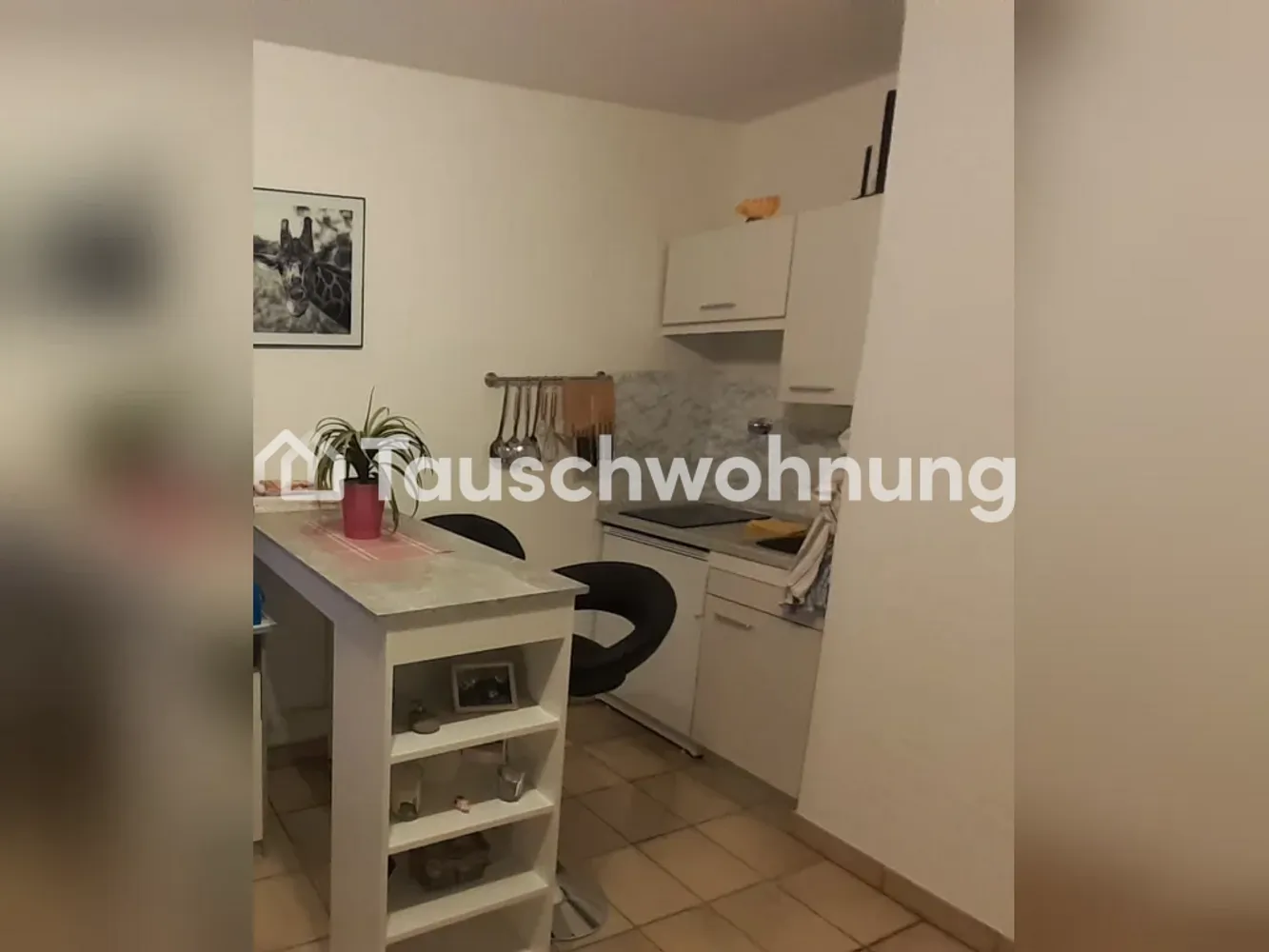 1 Zimmer Wohnung mit 23 m² in Bonn – Bild 1