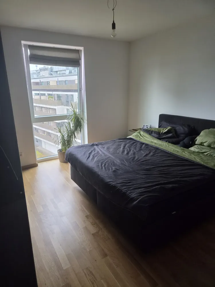 3 Zimmer Wohnung mit 112 m² in Dresden – Bild 5