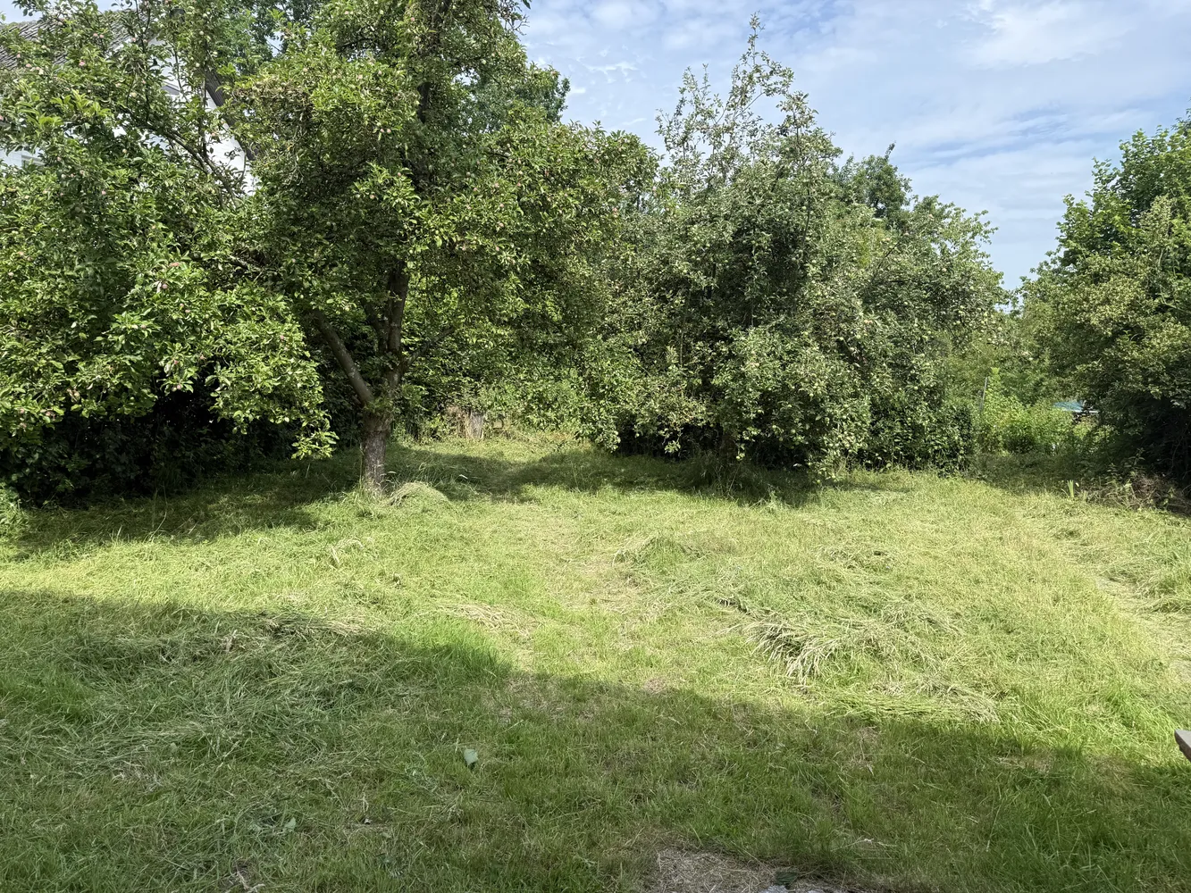 3 Zimmer Wohnung mit 100 m² in Aachen – Bild 4