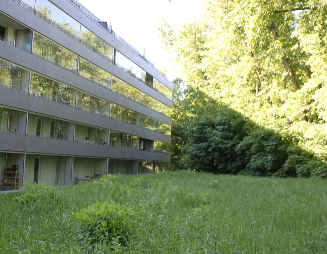 1 room apartment with 40 m² in Berlin – Photo 3