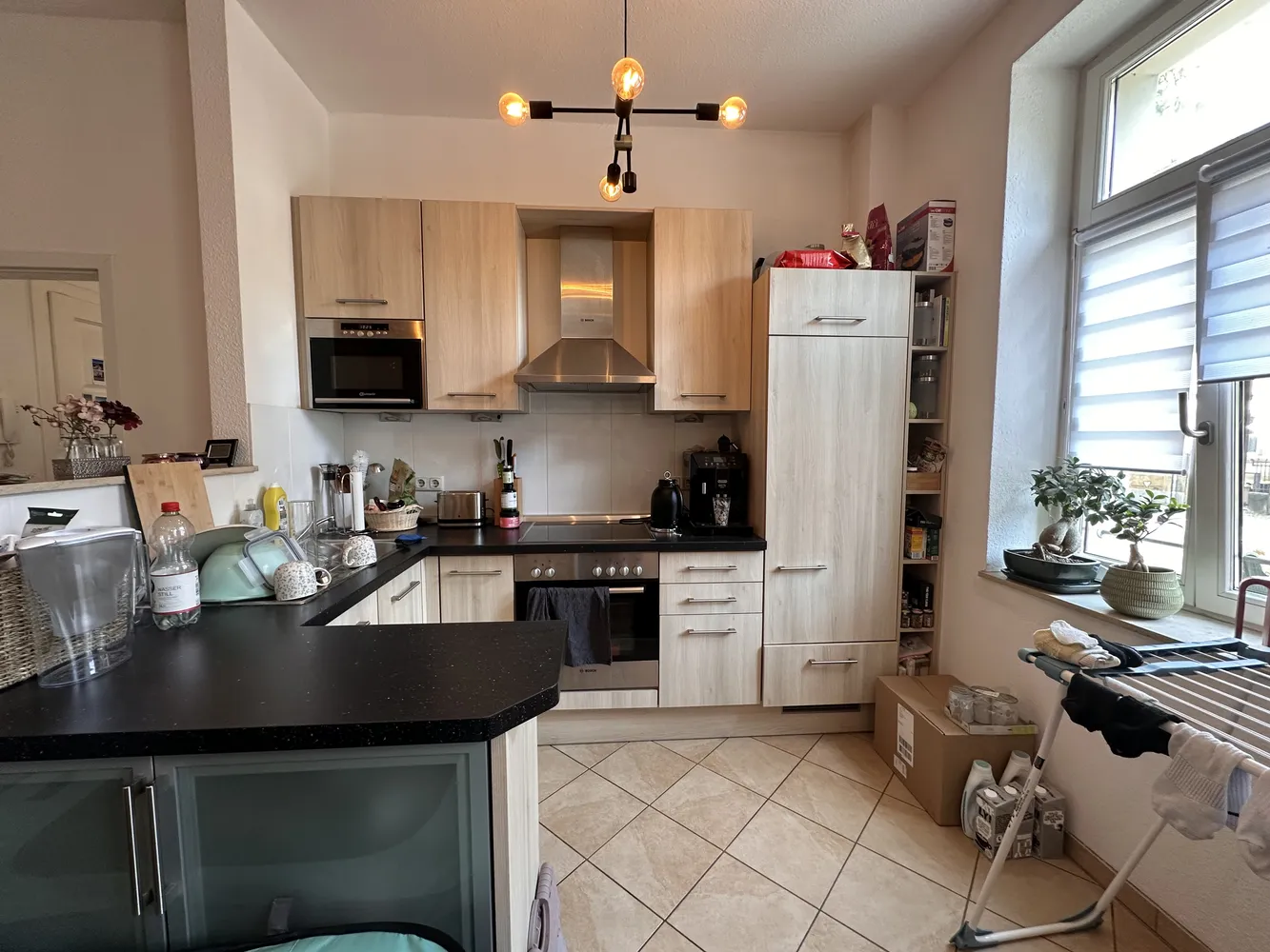 2 Zimmer Wohnung mit 46 m² in Dresden – Bild 6
