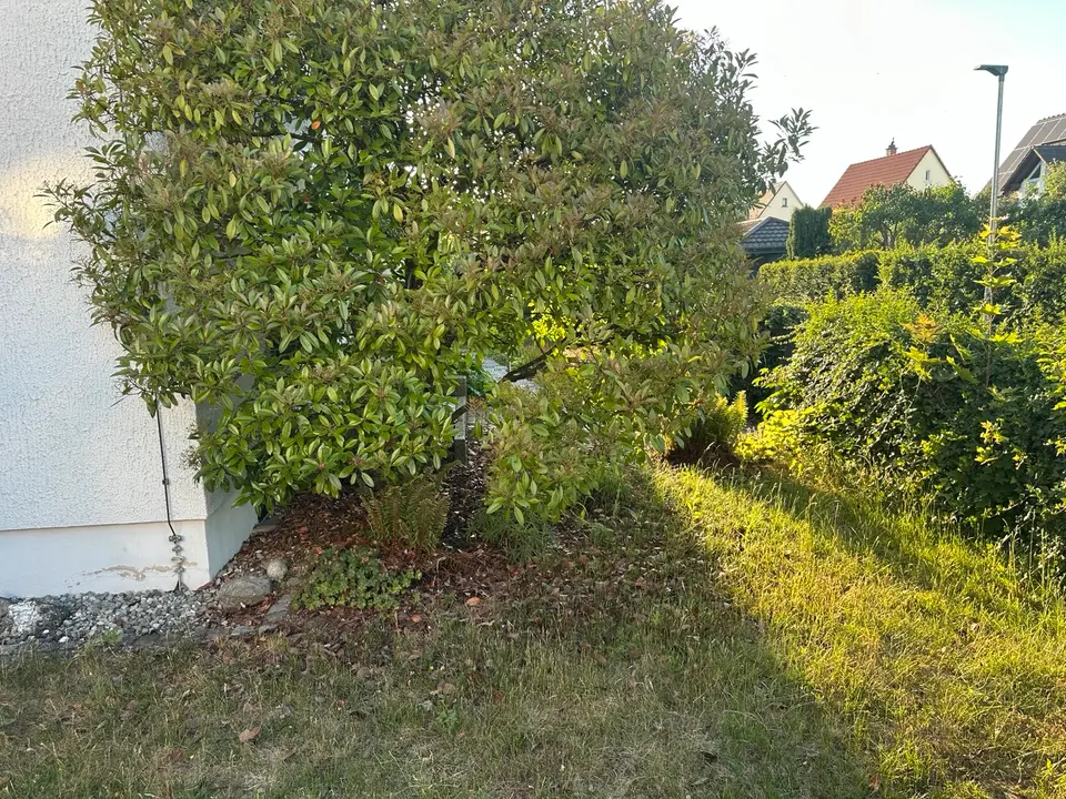 7 Zimmer Haus mit 160 m² in Singen – Bild 2
