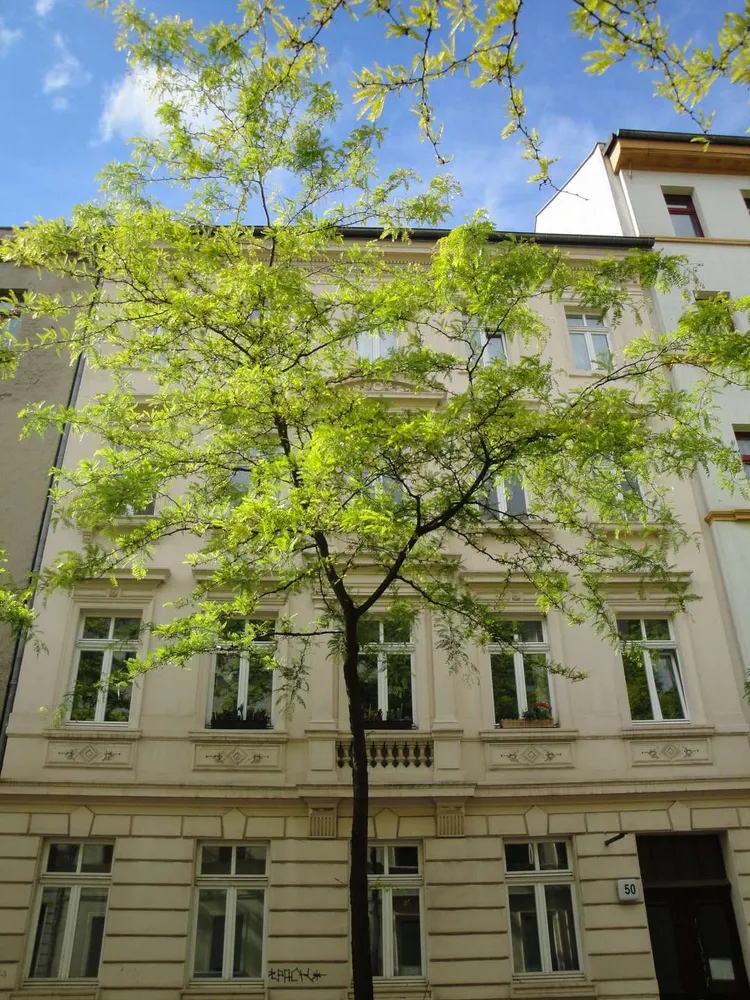 2 Zimmer Wohnung mit 62 m² in Leipzig – Bild 1