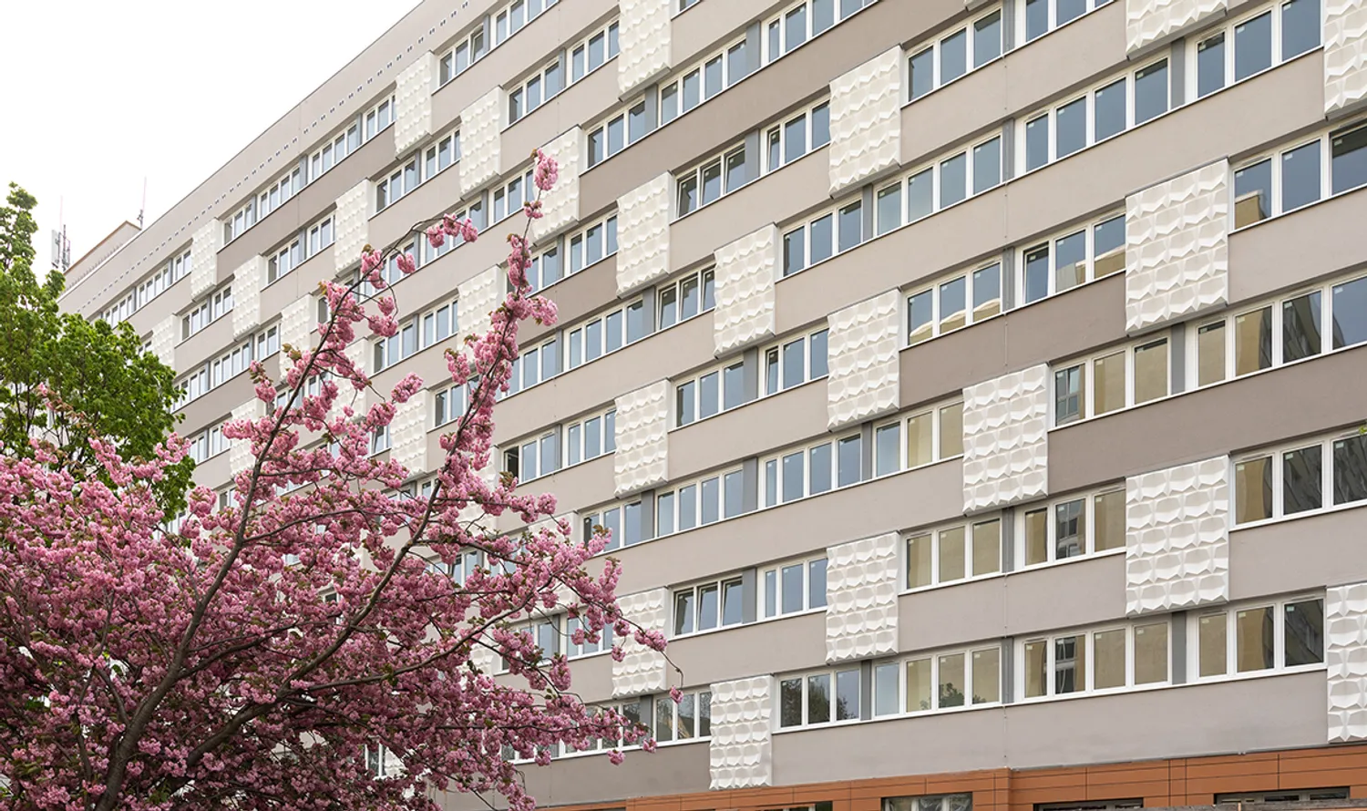 1 Zimmer Wohnung mit 24 m² in Leipzig – Bild 1