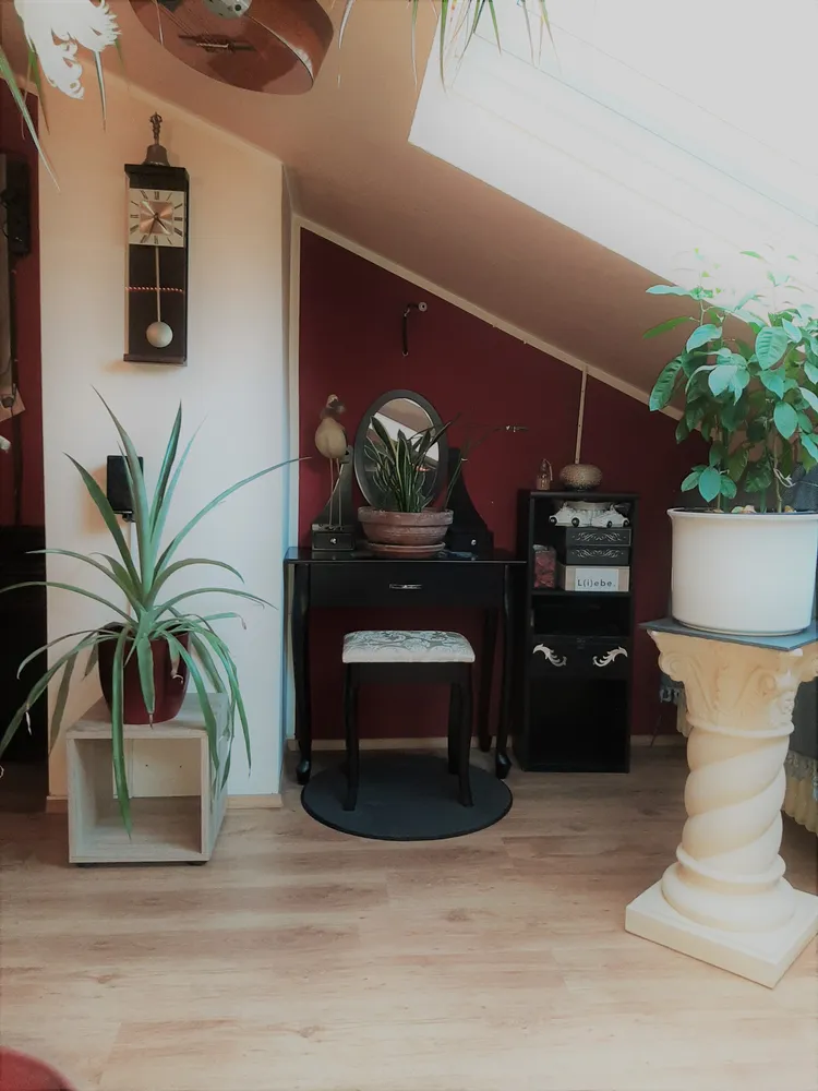 2 room apartment with 51 m² in Aachen – Photo 6