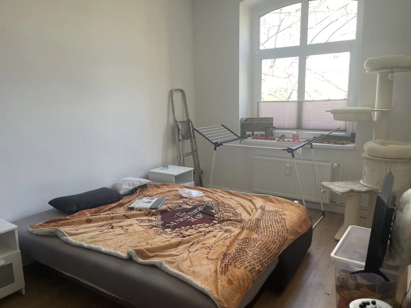 2 room apartment with 45 m² in Magdeburg – Photo 6