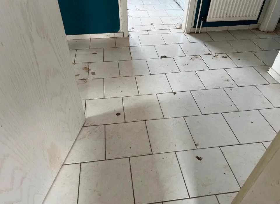 3 Zimmer Wohnung mit 75 m² in Bremen – Bild 6