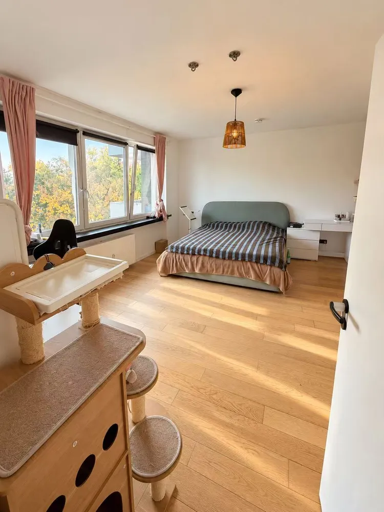 2 room apartment with 60 m² in Berlin – Photo 5