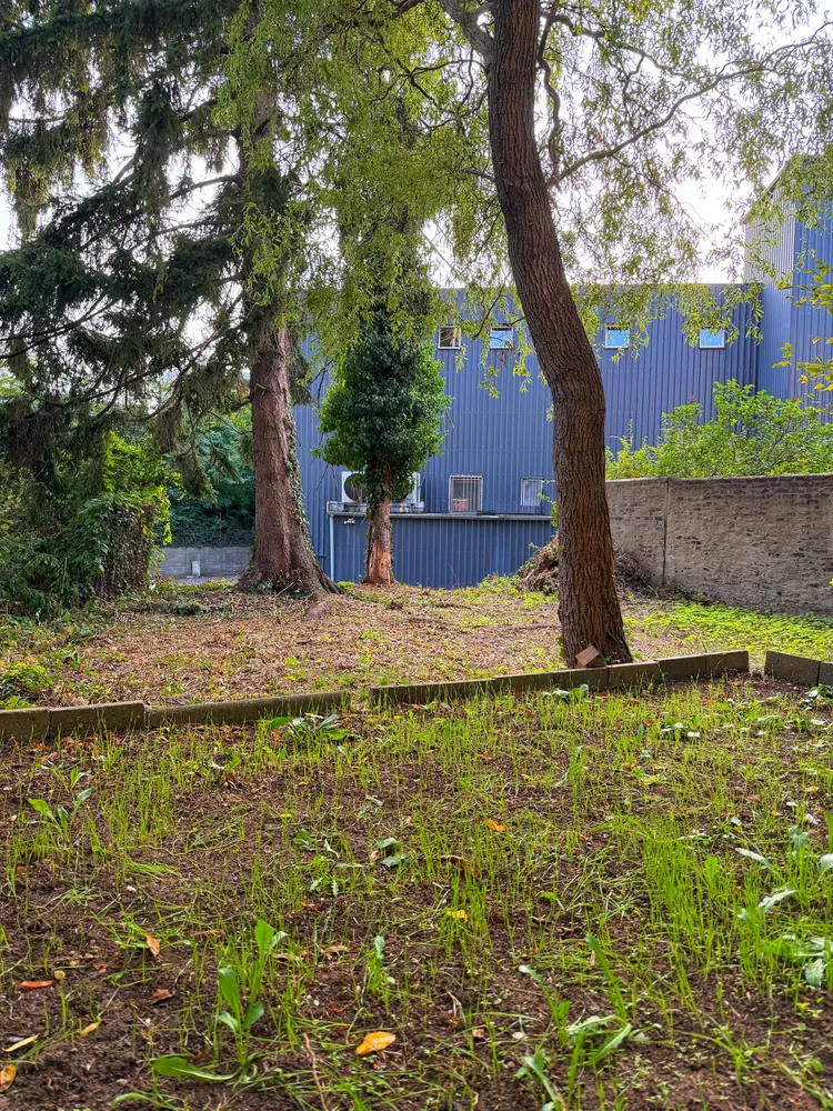 2 Zimmer Wohnung mit 51 m² in Düsseldorf – Bild 3