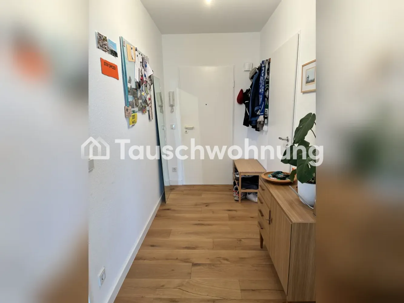 2 room apartment with 50 m² in Cologne – Photo 9