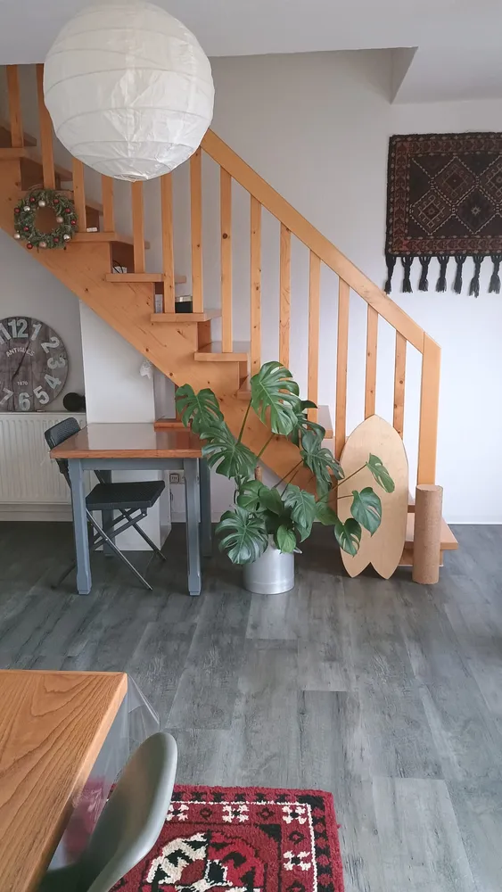2 Zimmer Wohnung mit 63 m² in Paderborn – Bild 7