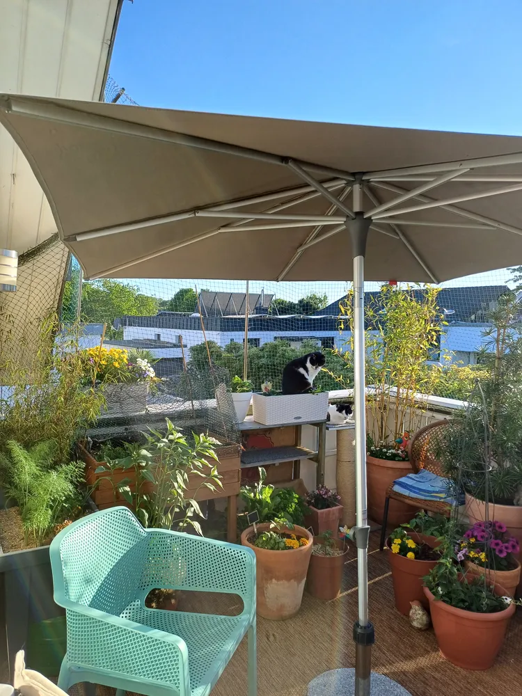 2 Zimmer Wohnung mit 89 m² in Neuss – Bild 1