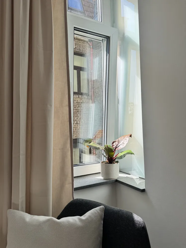 1 room apartment with 19 m² in Cologne – Photo 12
