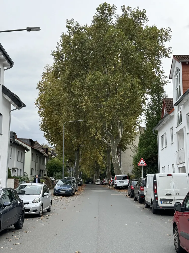 3 Zimmer Wohnung mit 63 m² in Frankfurt am Main – Bild 9