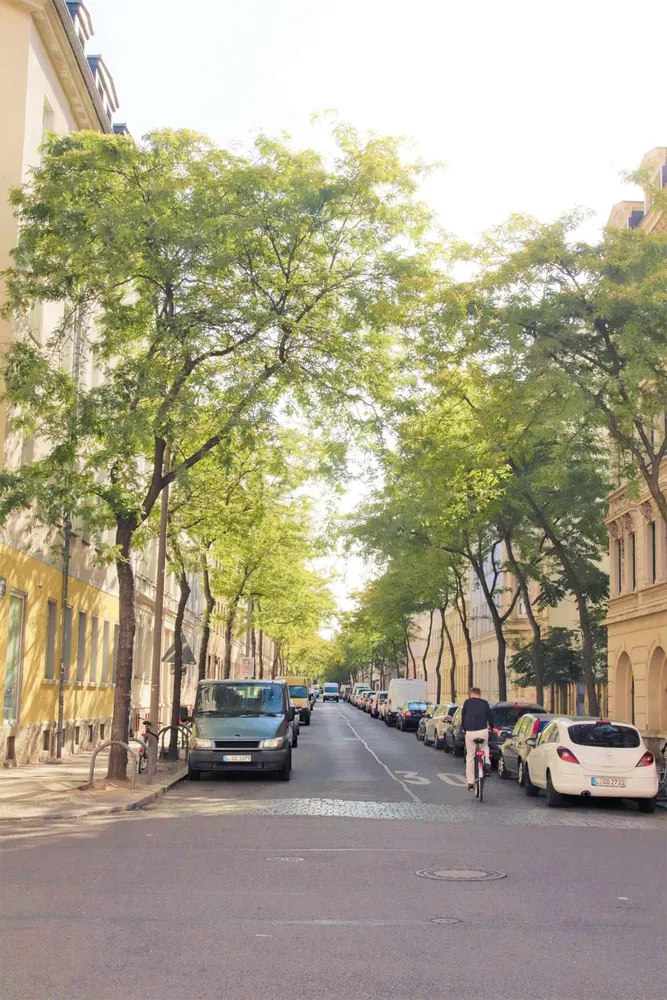 3 Zimmer Wohnung mit 80 m² in Leipzig – Bild 2