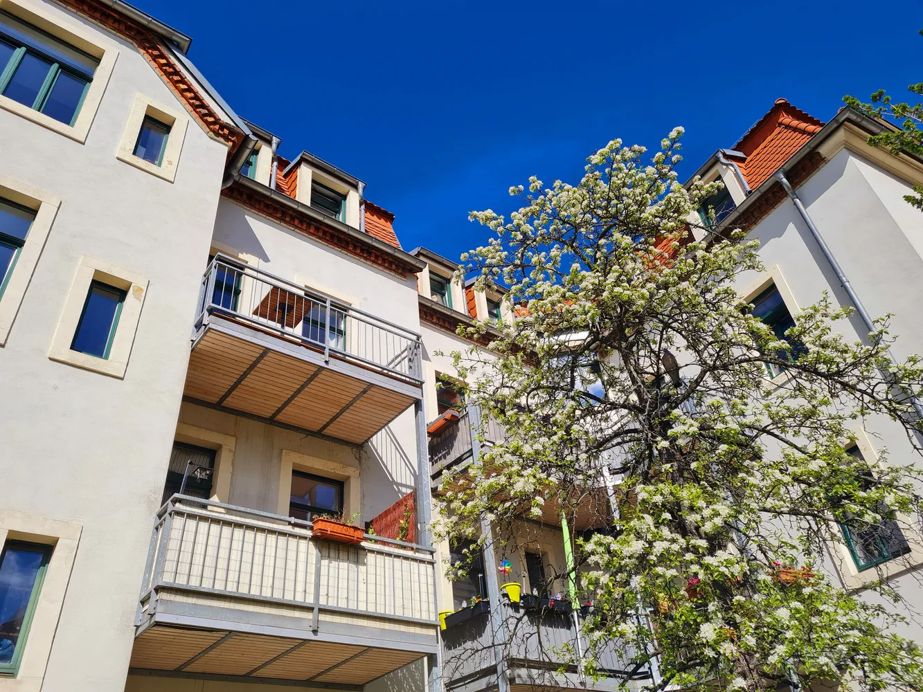 3 Zimmer Wohnung mit 61 m² in Dresden – Bild 4