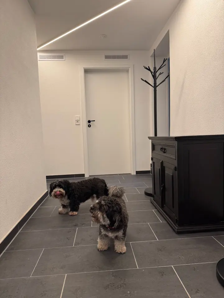 2 Zimmer Wohnung mit 21 m² in Hof – Bild 10