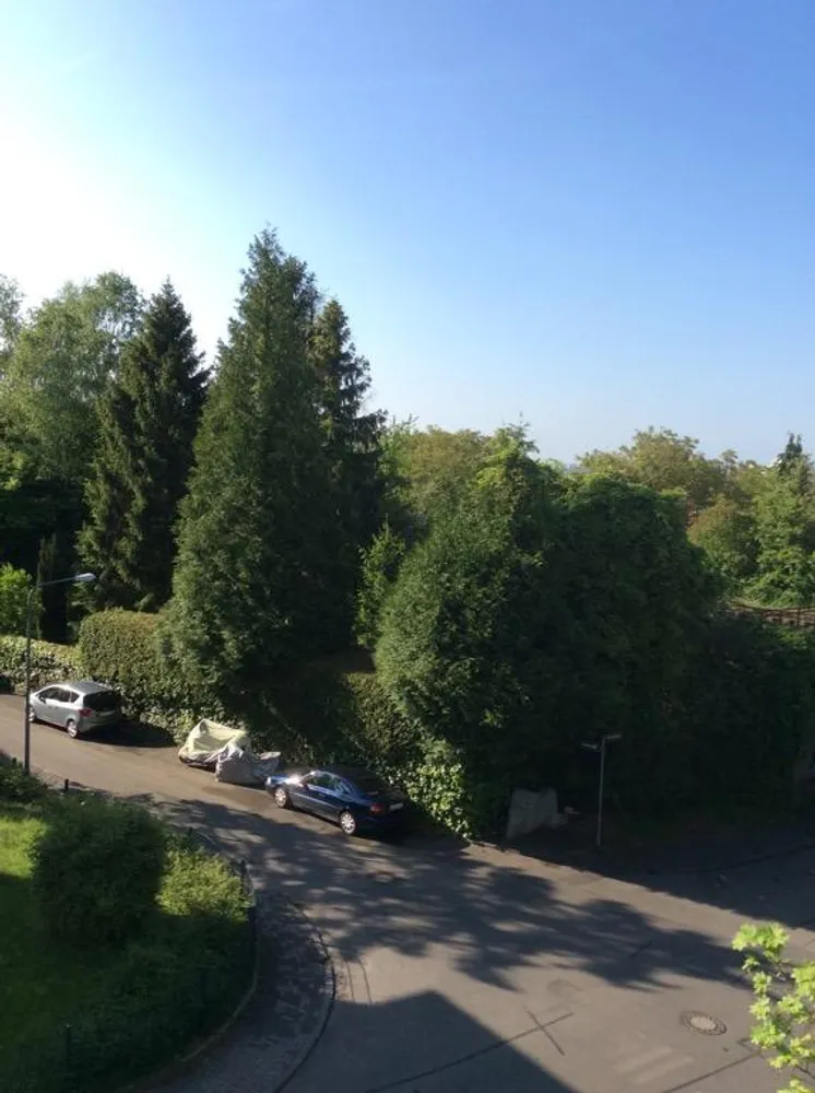 5 Zimmer Wohnung mit 125 m² in Wiesbaden – Bild 6