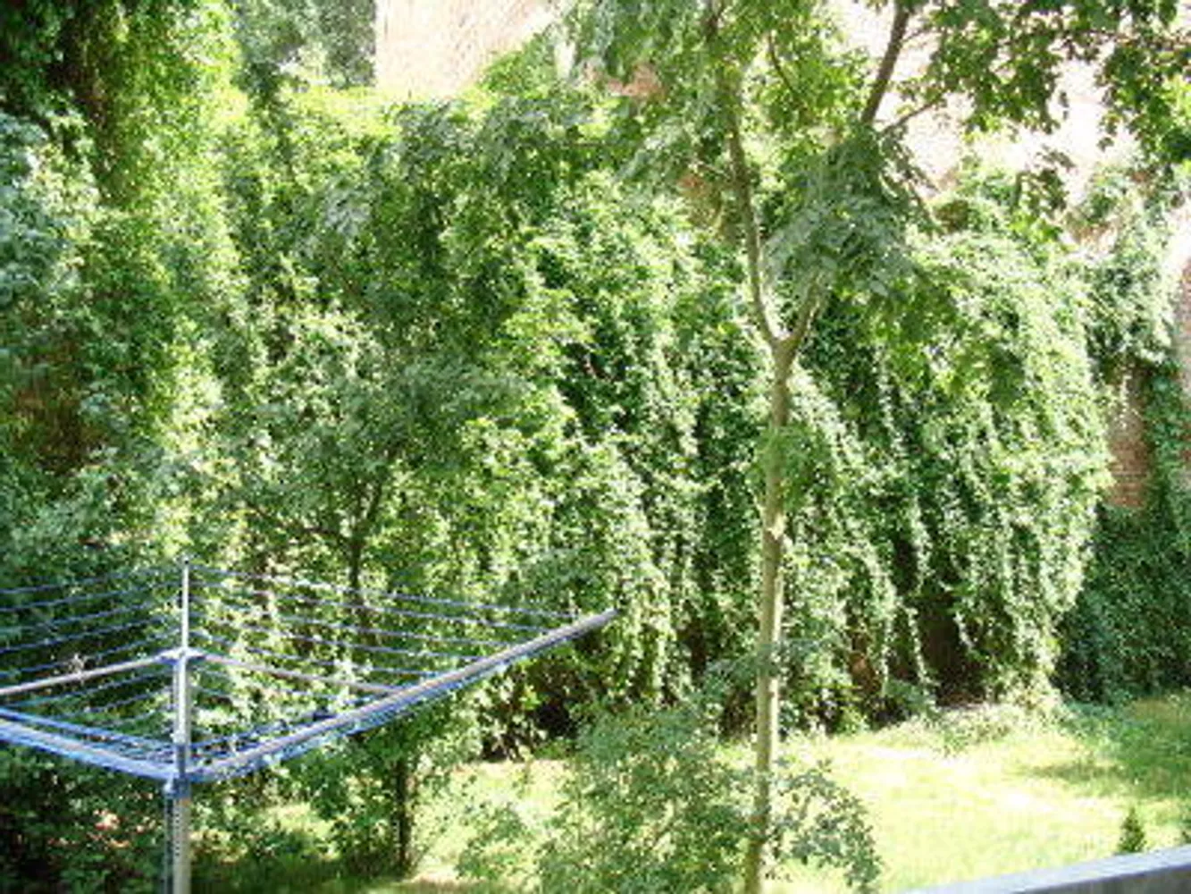 3 room apartment with 82 m² in Halle (Saale) – Photo 4