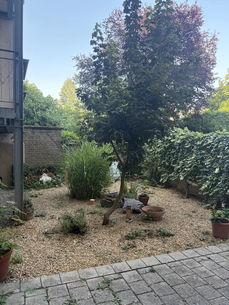 3 Zimmer Wohnung mit 110 m² in Saarbrücken – Bild 5
