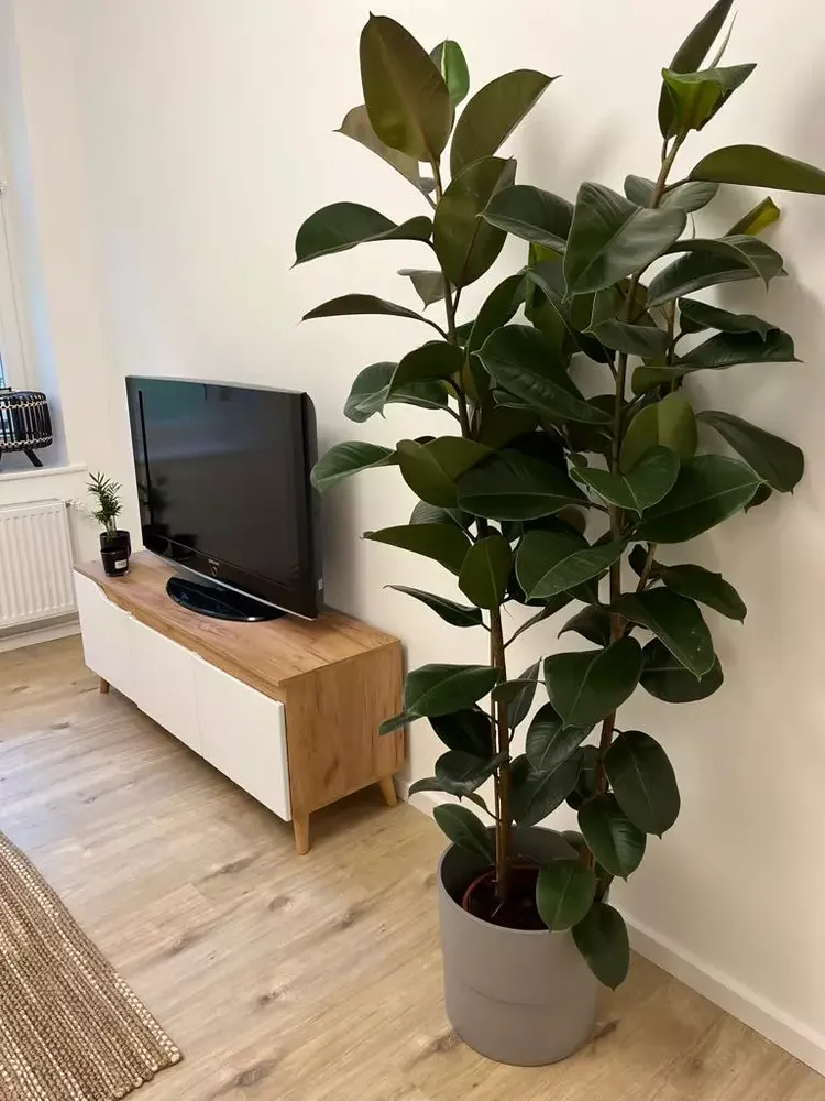 1 Zimmer Wohnung mit 38 m² in Berlin – Bild 6
