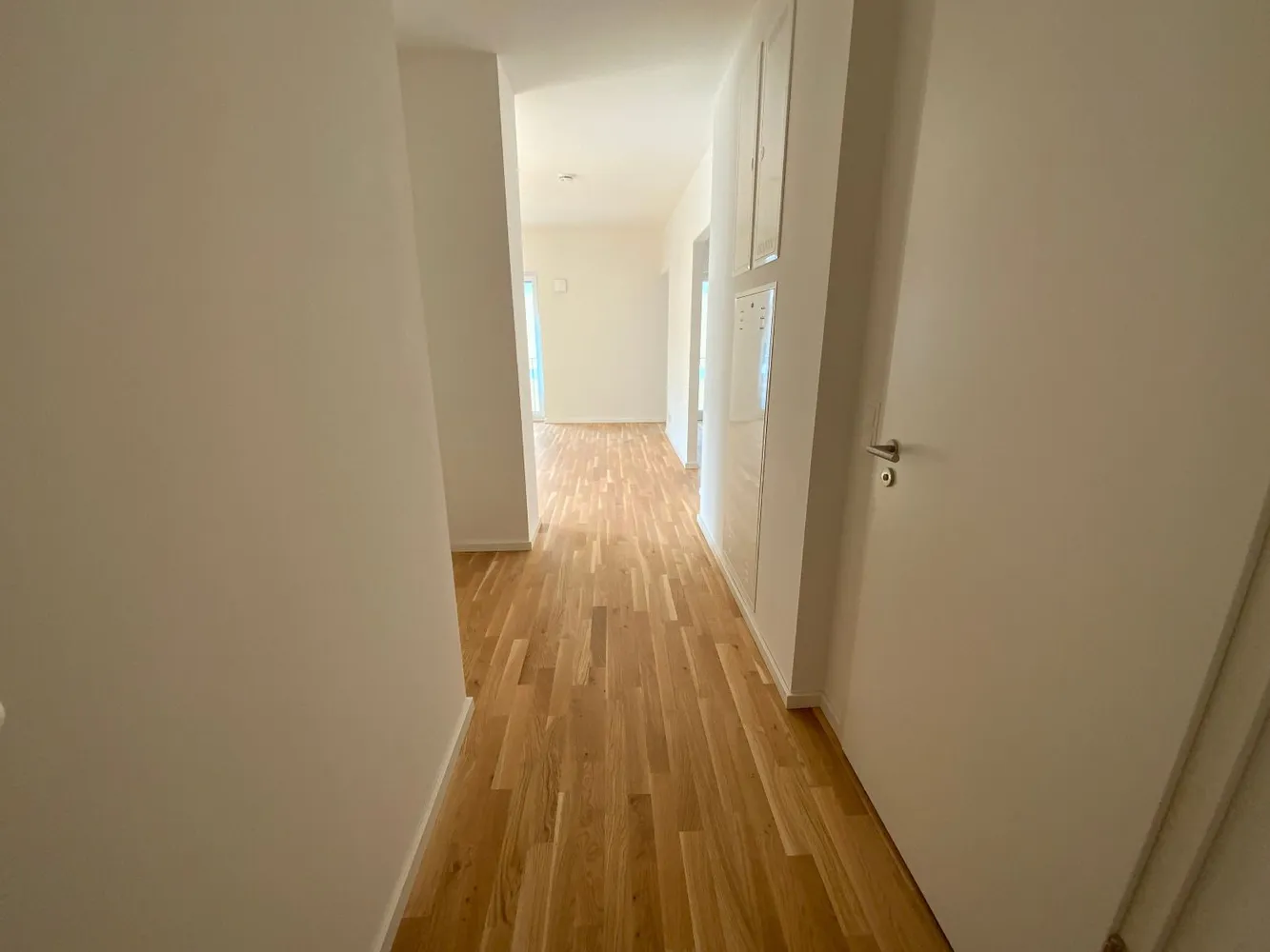 2 room apartment with 53 m² in Dresden – Photo 3