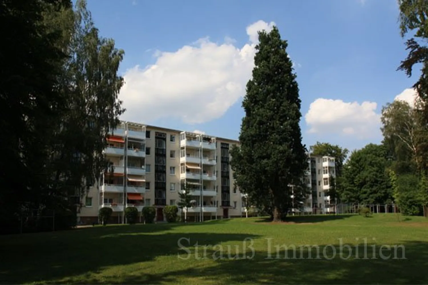 3 room apartment with 60 m² in Chemnitz – Photo 3