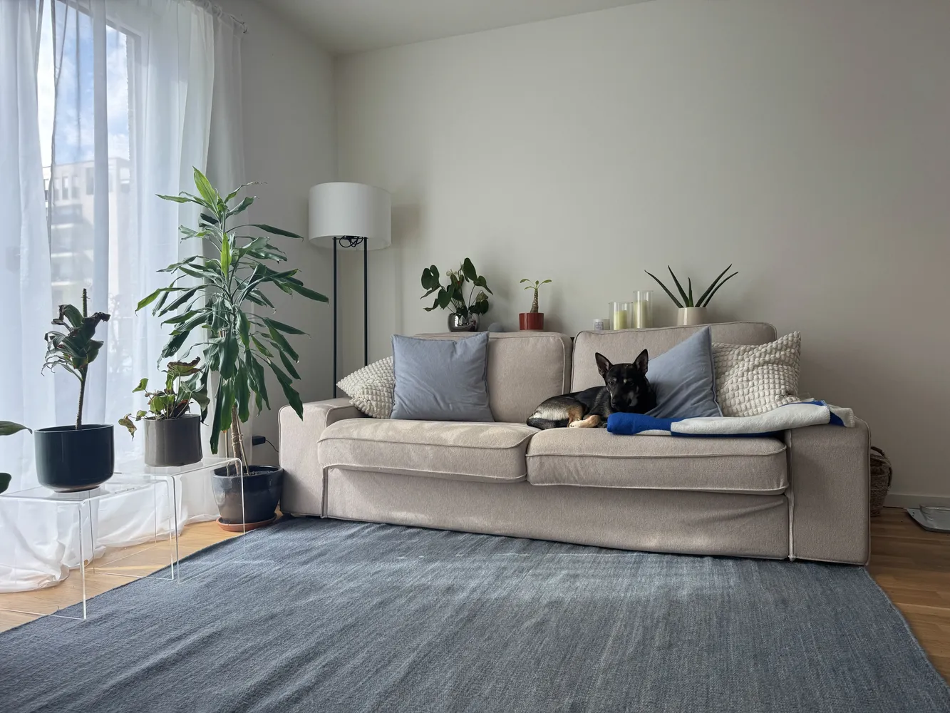 2 Zimmer Wohnung mit 46 m² in Frankfurt am Main – Bild 6