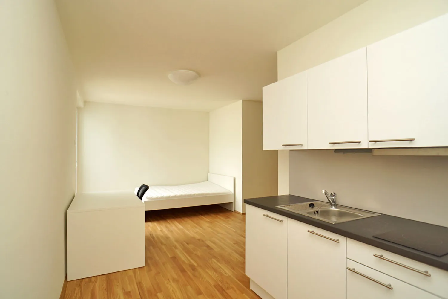 1 Zimmer Wohnung mit 39 m² in Dresden – Bild 6