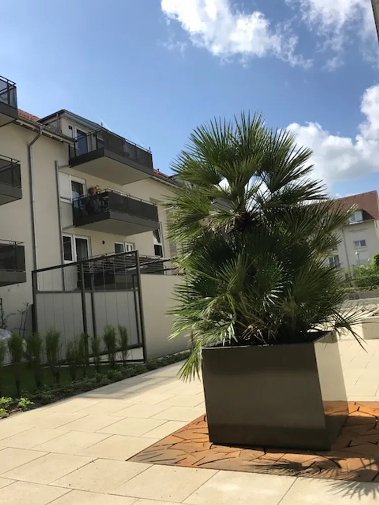 1 Zimmer Wohnung mit 20 m² in Freiburg im Breisgau – Bild 2