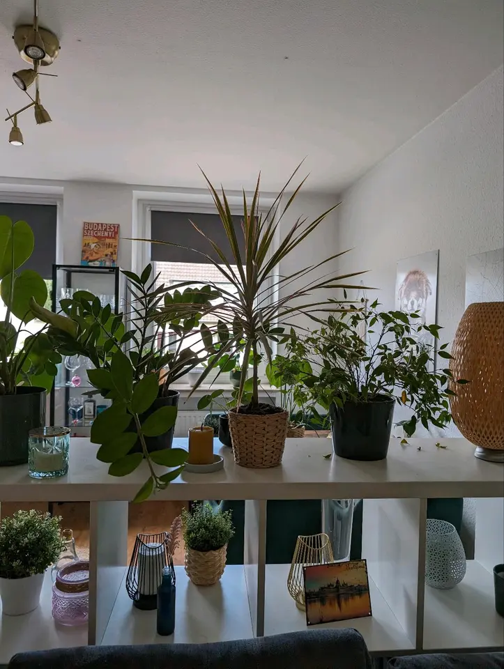 WG-Zimmer mit 55 m² in Düsseldorf – Bild 3