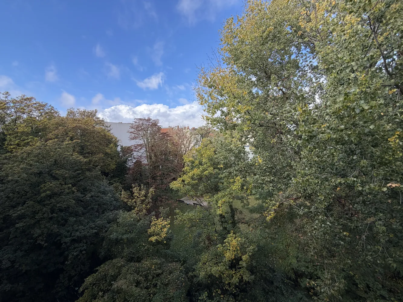 2 room apartment with 40 m² in Berlin – Photo 9