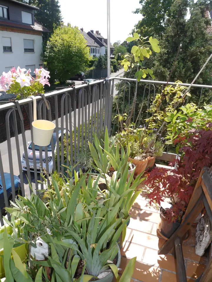 3 Zimmer Wohnung mit 94 m² in Mannheim – Bild 3