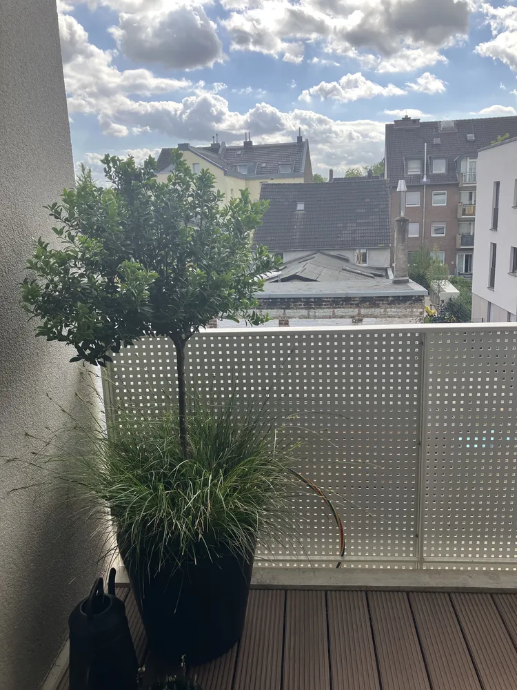 1 Zimmer Wohnung mit 35 m² in Köln – Bild 8