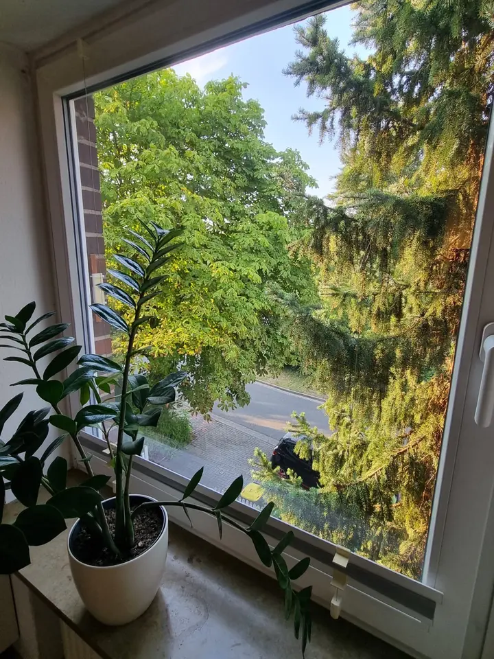 2 Zimmer Wohnung mit 30 m² in Osnabrück – Bild 5
