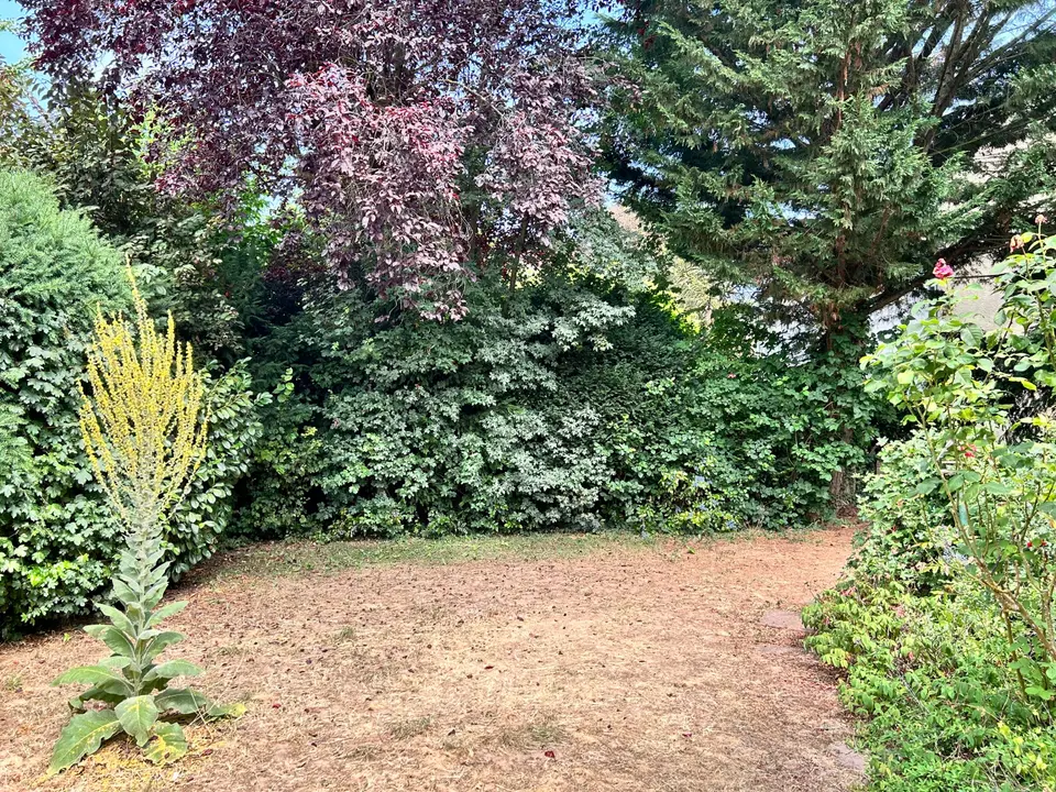 WG-Zimmer mit 138 m² in Mainz – Bild 4