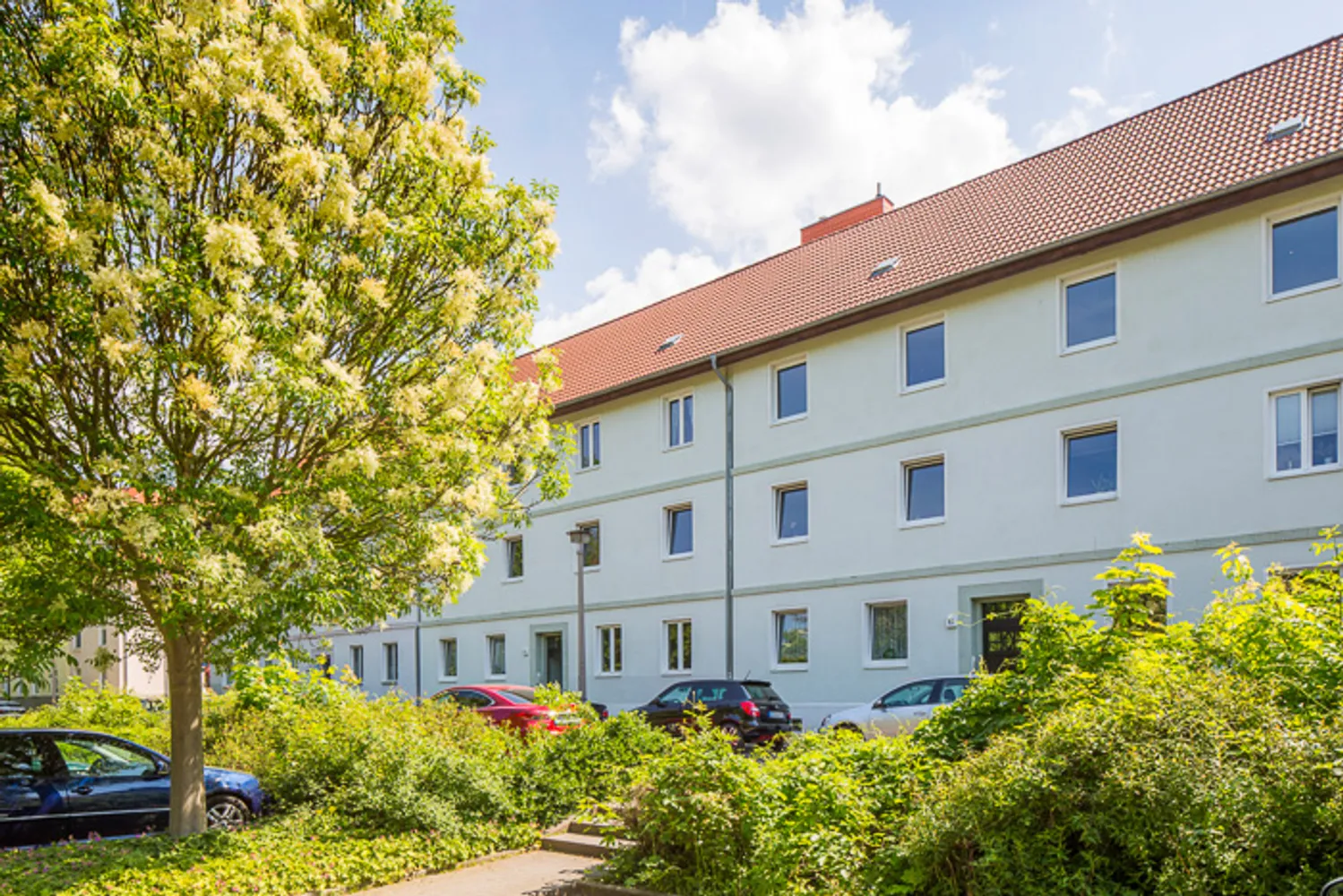 2 room apartment with 54 m² in Magdeburg – Photo 6