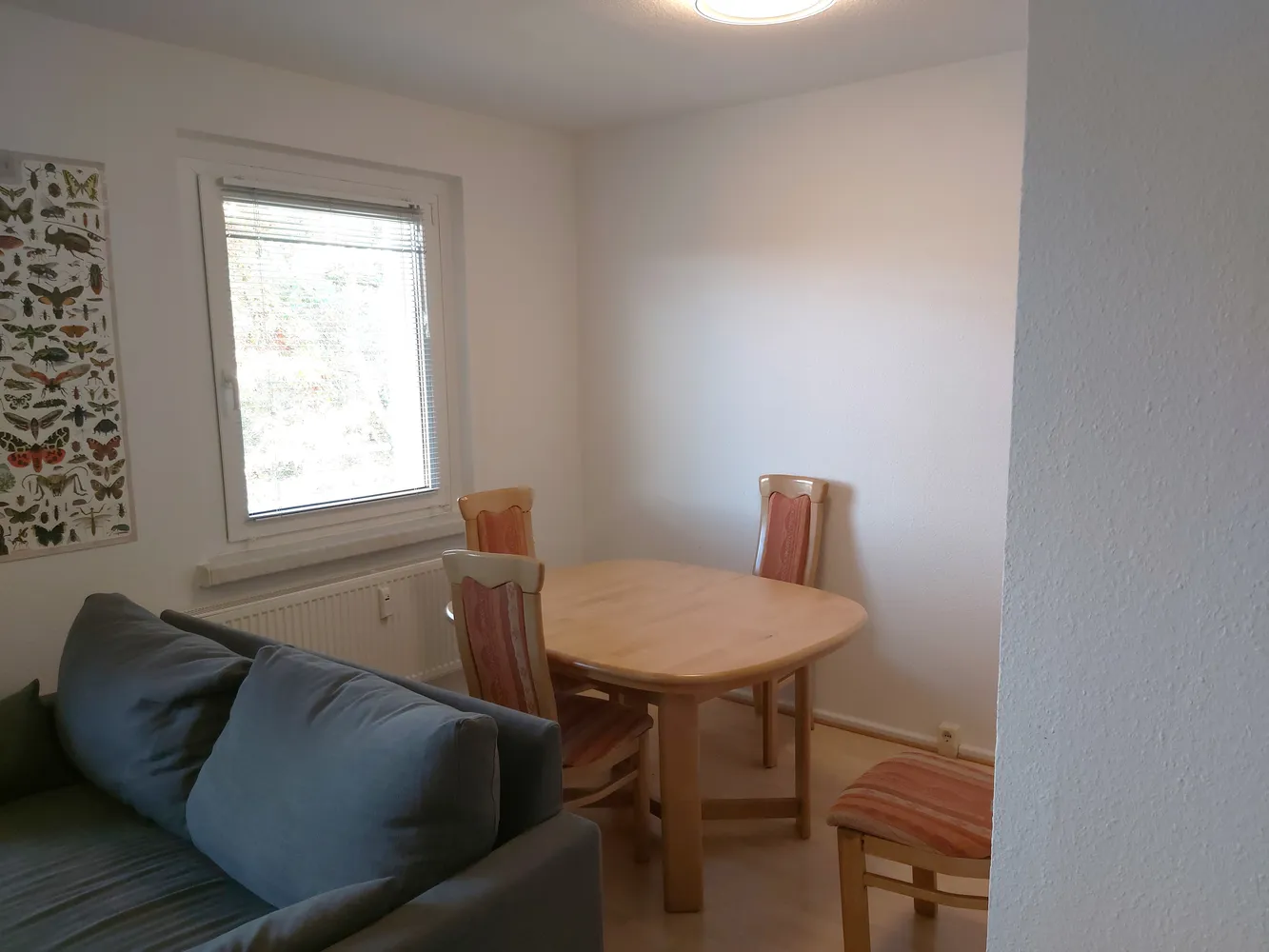 3 Zimmer Wohnung mit 59 m² in Eberswalde – Bild 5