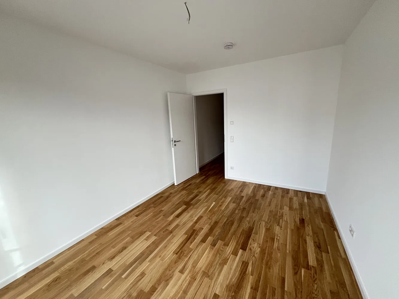 2 room apartment with 62 m² in Magdeburg – Photo 1