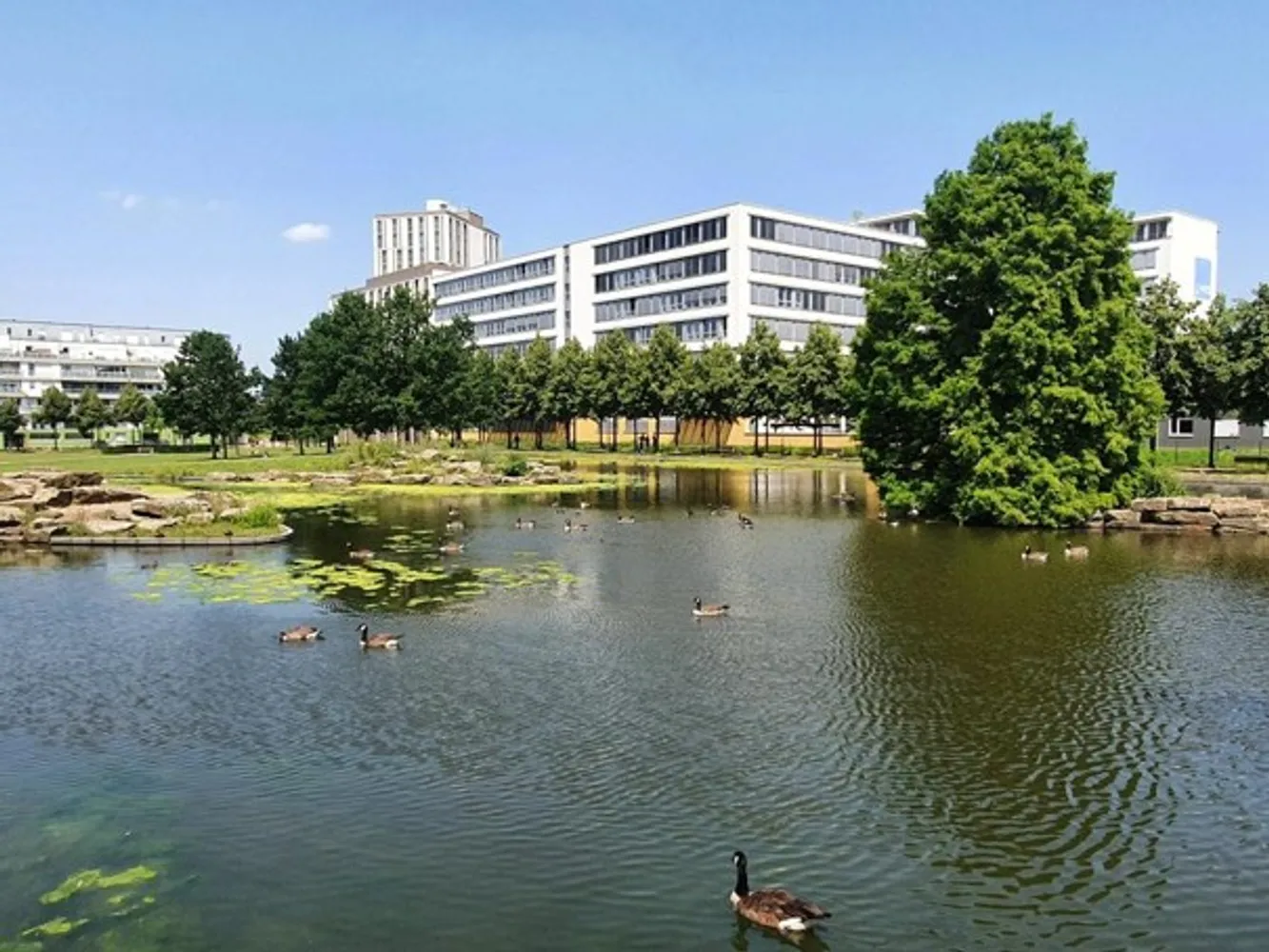 1 Zimmer Wohnung mit 58 m² in Düsseldorf – Bild 3