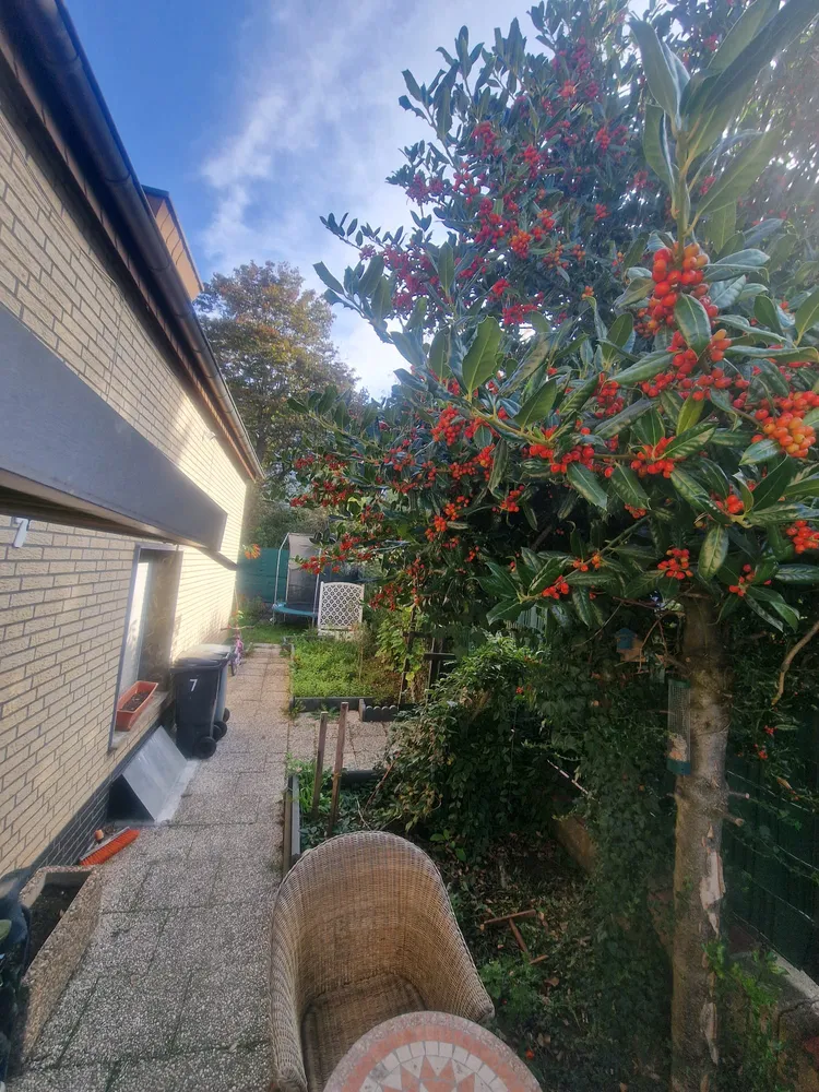 5 Zimmer Haus mit 100 m² in Düren – Bild 12