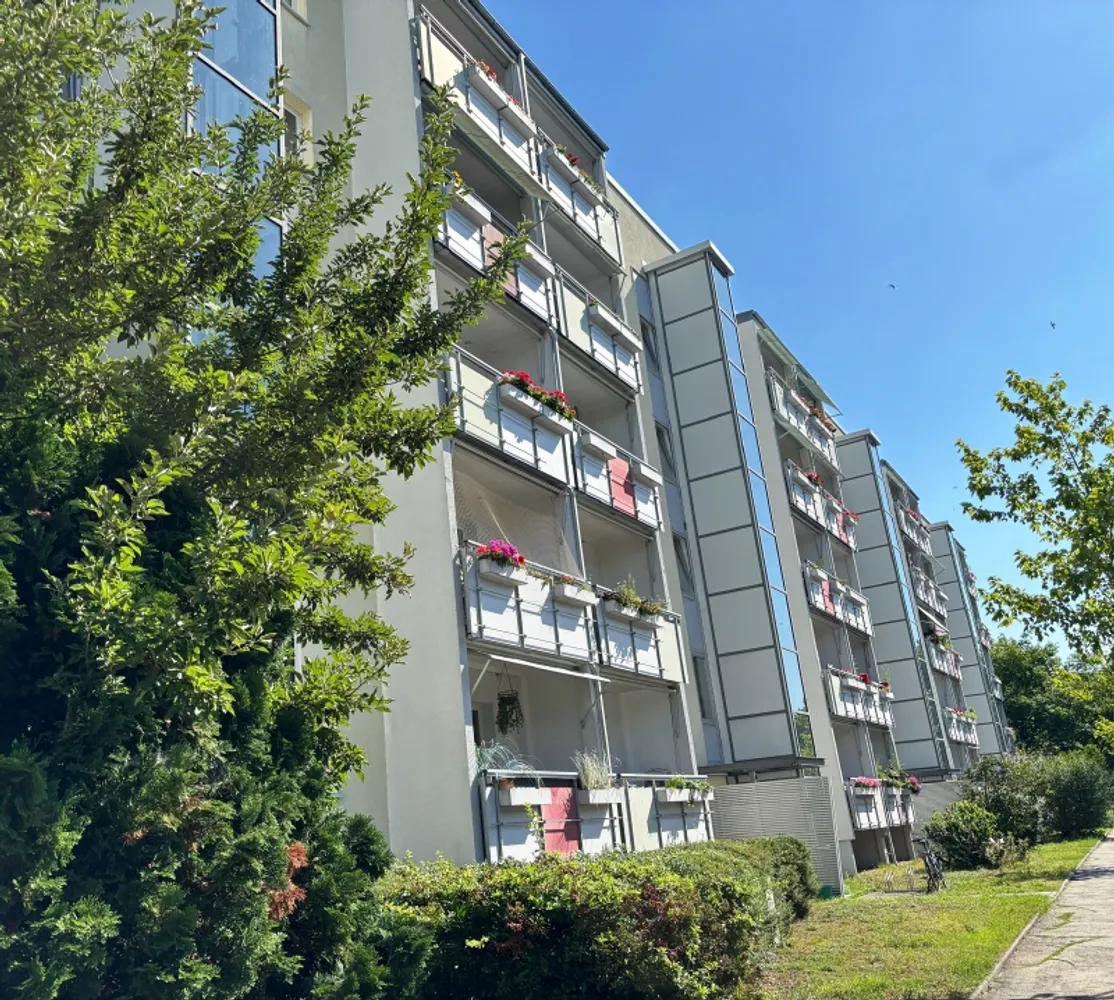 3 Zimmer Wohnung mit 66 m² in Dresden – Bild 3