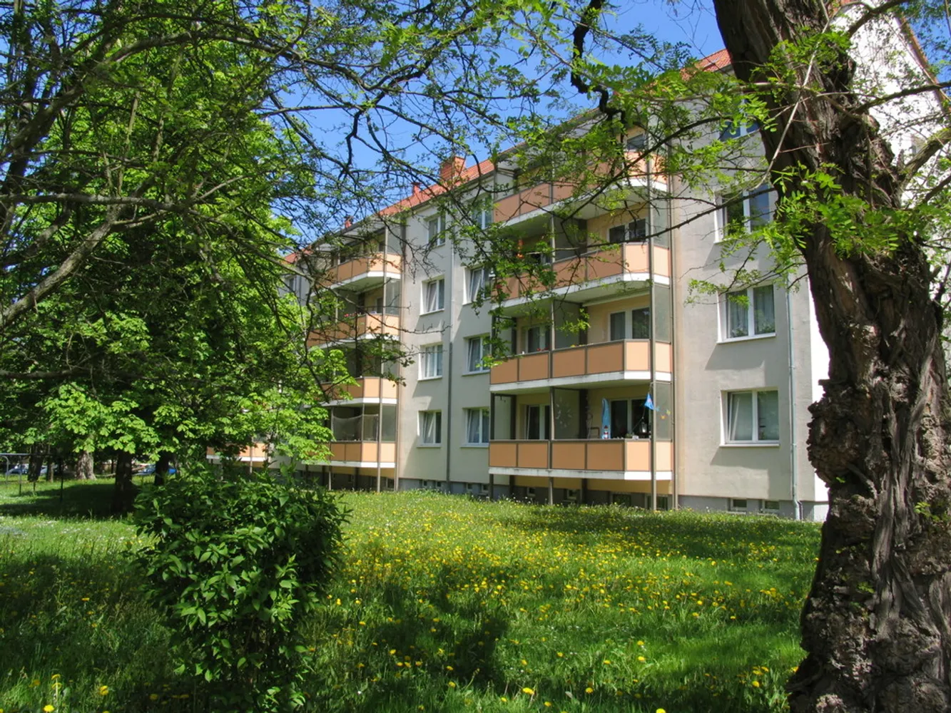 3 room apartment with 60 m² in Chemnitz – Photo 4