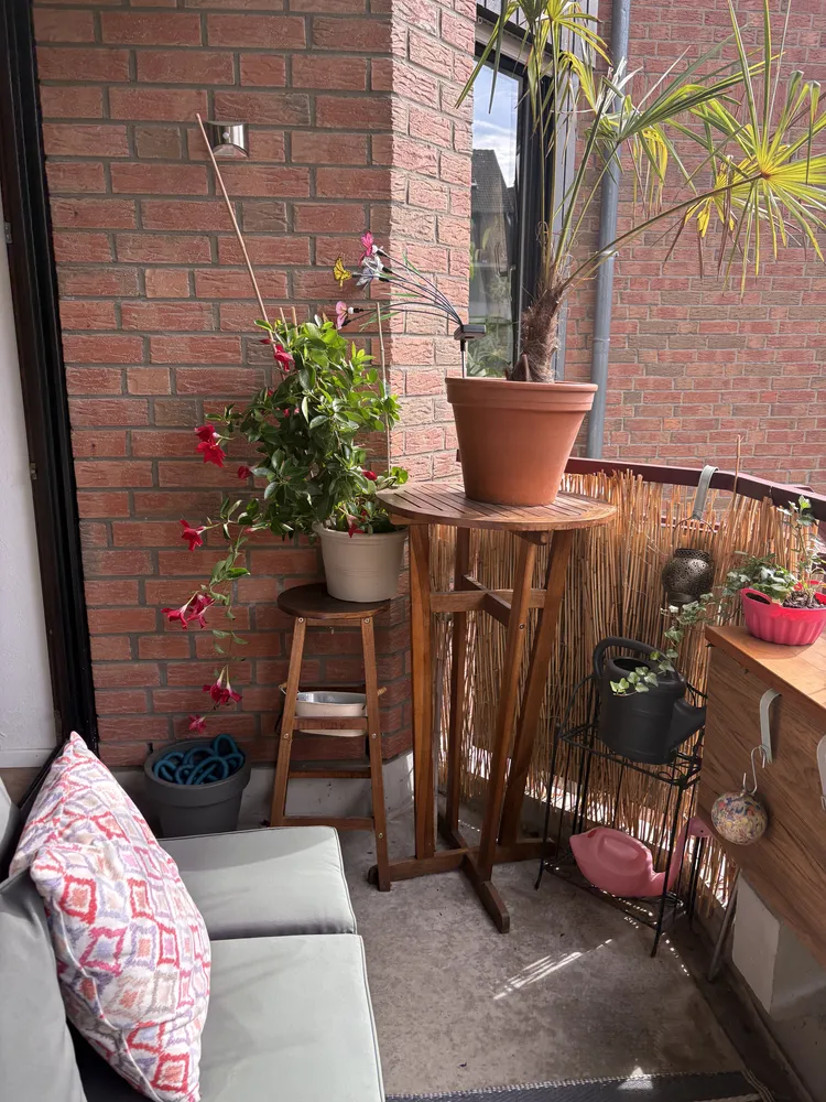 3 room apartment with 80 m² in Cologne – Photo 10
