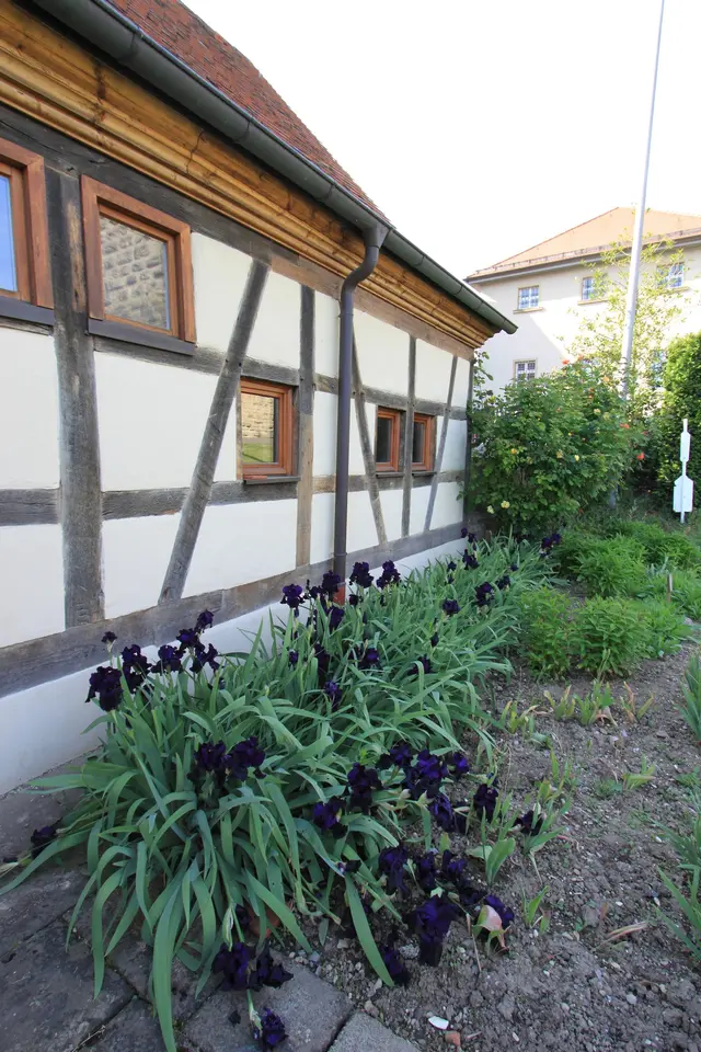 9 Zimmer Haus mit 252 m² in Mosbach – Bild 4