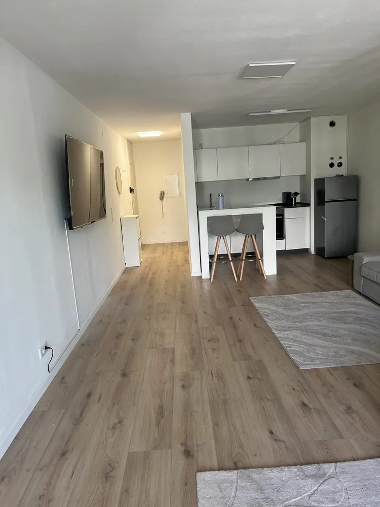 1 Zimmer Wohnung mit 45 m² in Wiesbaden – Bild 1