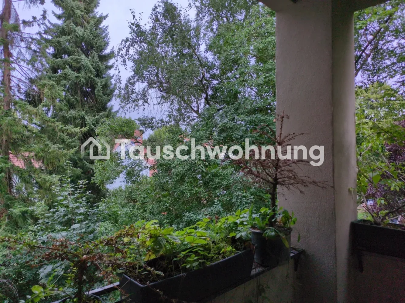 2 room apartment with 61 m² in Berlin – Photo 2