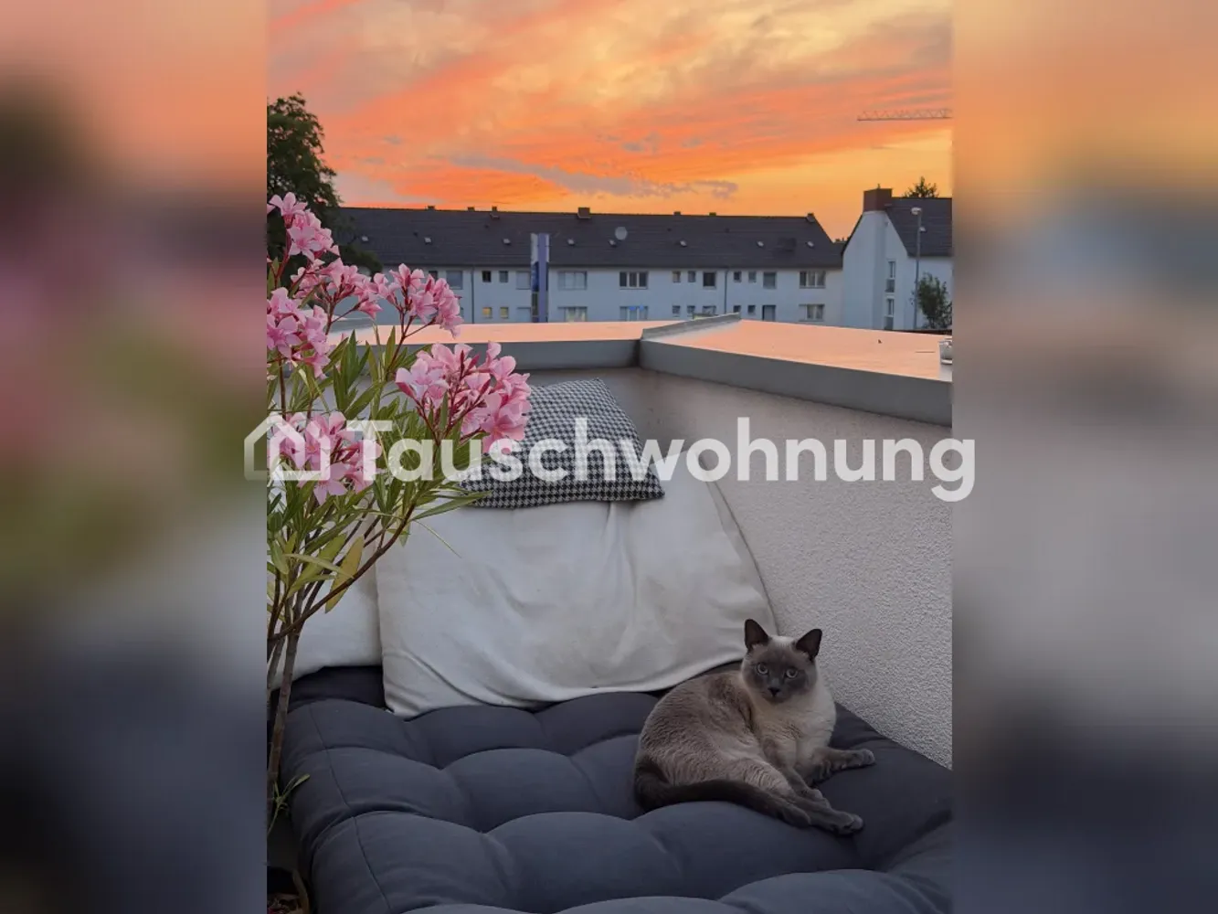 1 room apartment with 21 m² in Cologne – Photo 1