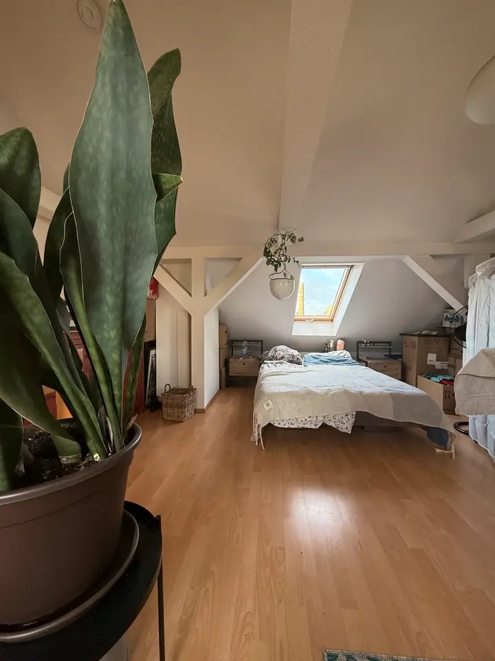 2 Zimmer Wohnung mit 63 m² in Leipzig – Bild 7
